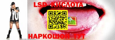 MDMA Дубна