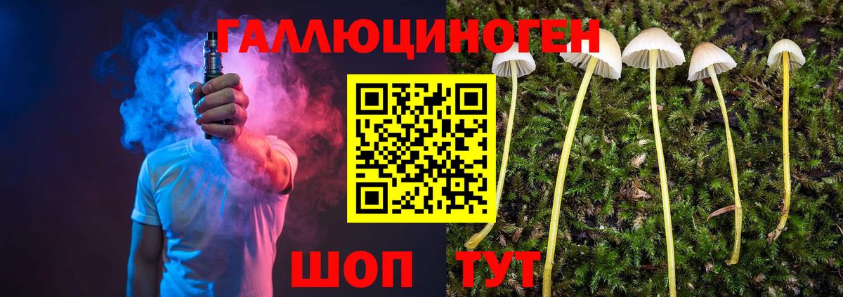 Чернушка  Галлюциногенные грибы мицелий  Галлюциногенные грибы Cubensis  Вход с VPN 