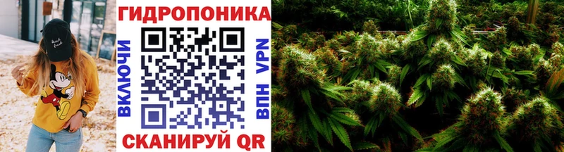 Конопля конопля  наркотики  Чернушка 